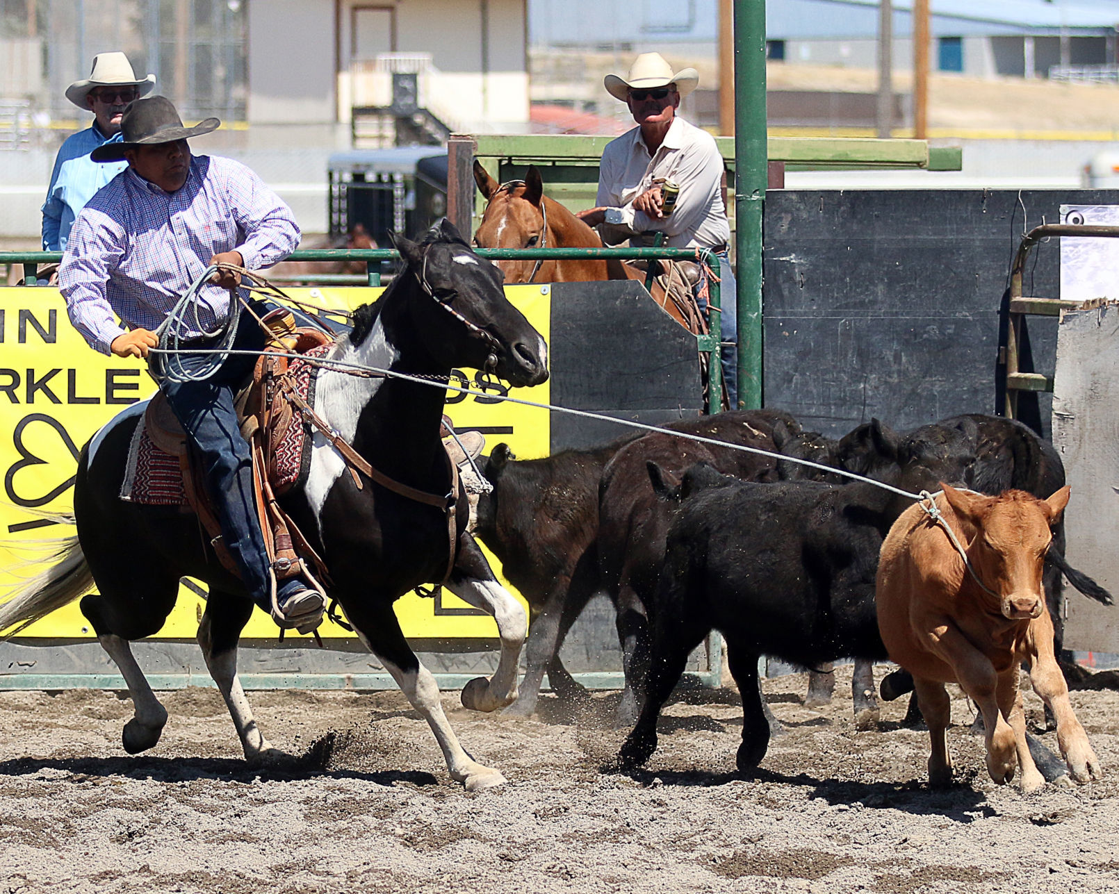 2018 Elko County Fair Open Branding Finals (22).JPG